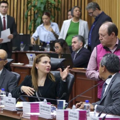 Consejeros y representantes partidistas dialogan durante una sesión del Consejo General del INE en la que se revisaron nombramientos electorales.