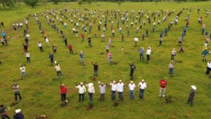 Jornada de reforestación en Tabasco con decenas de participantes sembrando árboles de manera simultánea