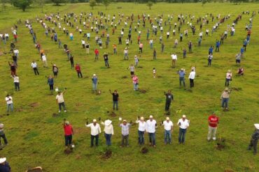 Jornada de reforestación en Tabasco con decenas de participantes sembrando árboles de manera simultánea