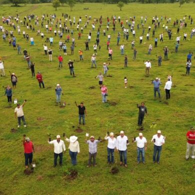 Jornada de reforestación en Tabasco con decenas de participantes sembrando árboles de manera simultánea